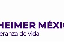 Líder en desarrollo institucional